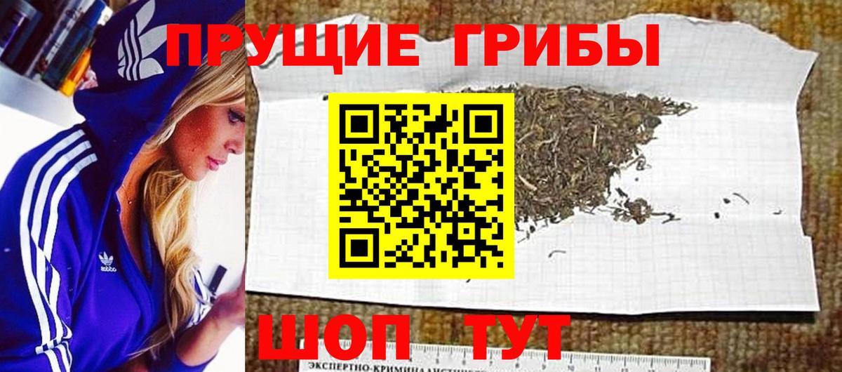 Галлюциногенные грибы Psilocybine cubensis Батайск
